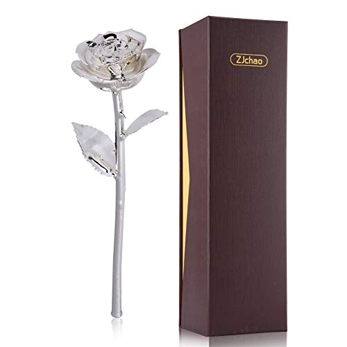 SILVER-ROSE / 薔薇  デモテープ Amazon.com: ZJchao 24K Silver Rose Christmas Gifts for Her, Dipped